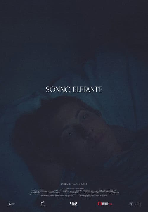 Sonno Elefante poster