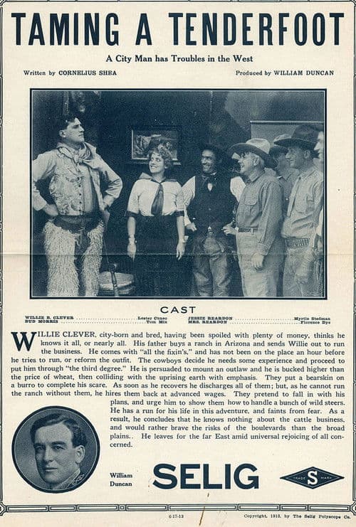 Taming a Tenderfoot poster