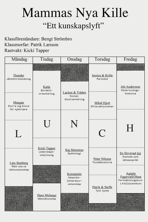 Mammas nya kille - ett kunskapslyft poster