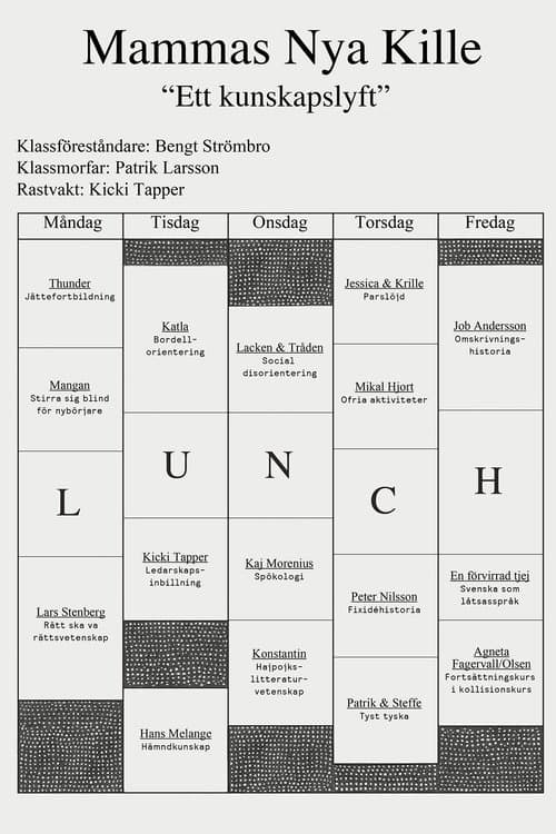 Mammas nya kille - ett kunskapslyft poster