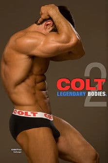 Legendary Bodies 2 poster