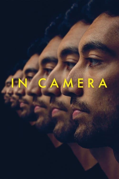 In Camera poster