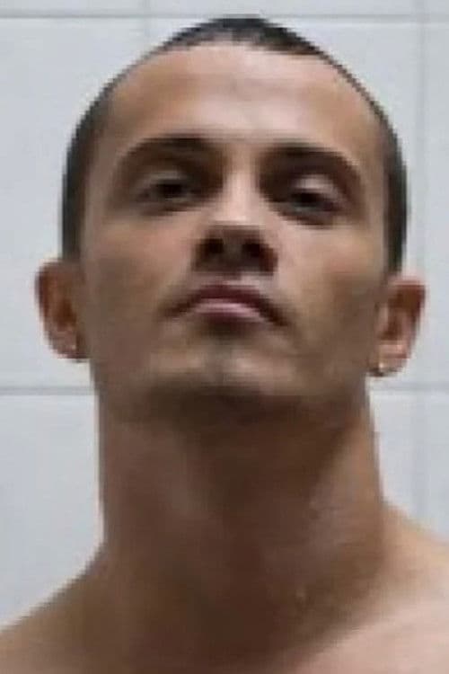 Angelus profile photo