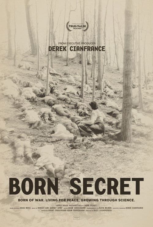 Born Secret poster