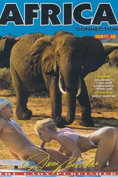 Africa Connection poster