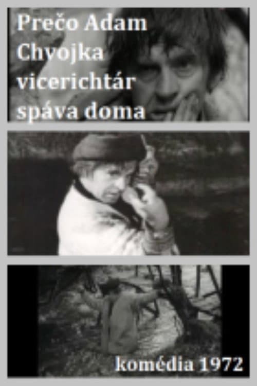 Adam Chvojka vicerichtár poster