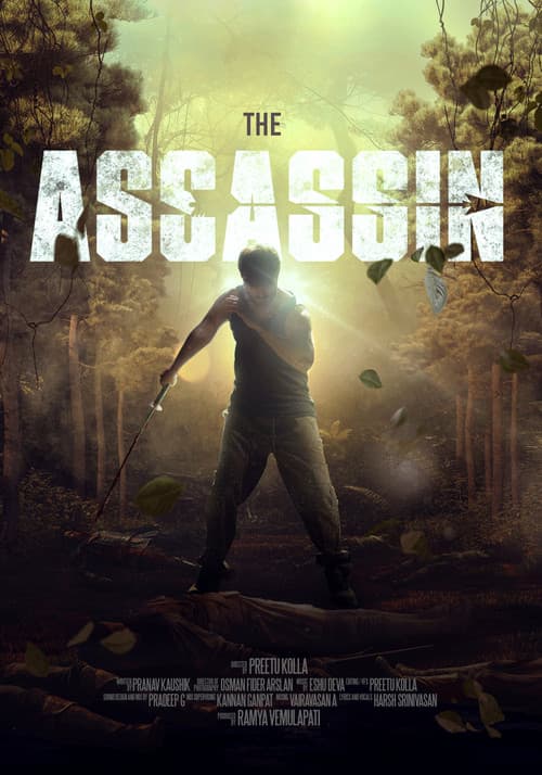 The Assassin poster