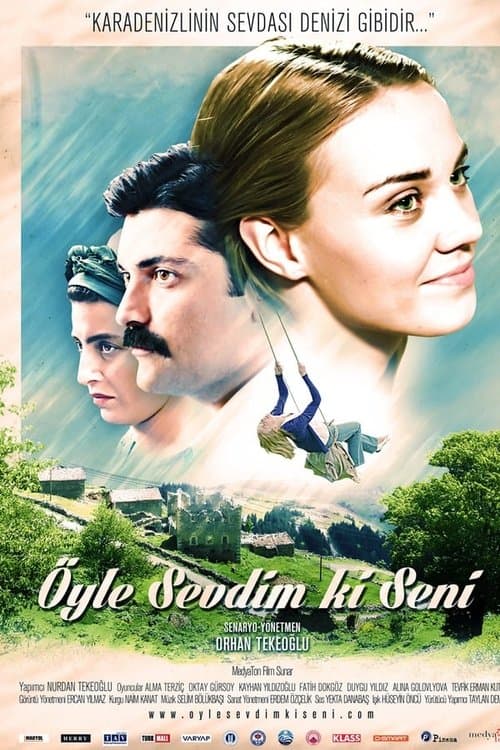 Öyle Sevdim ki Seni poster