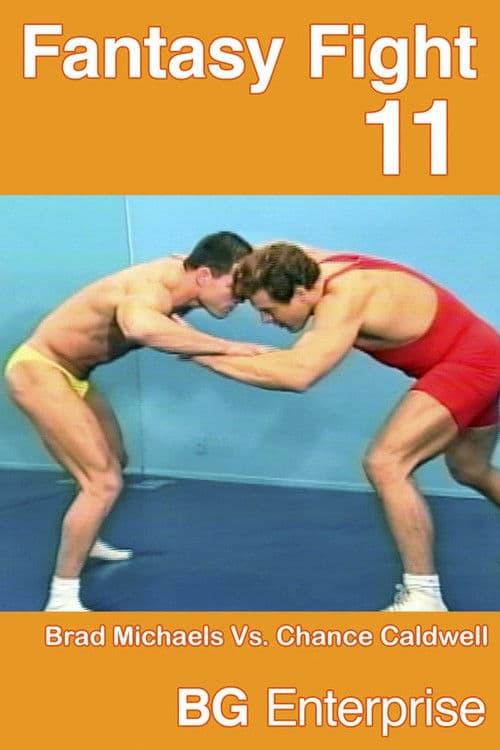 Fantasy Fight 11 poster