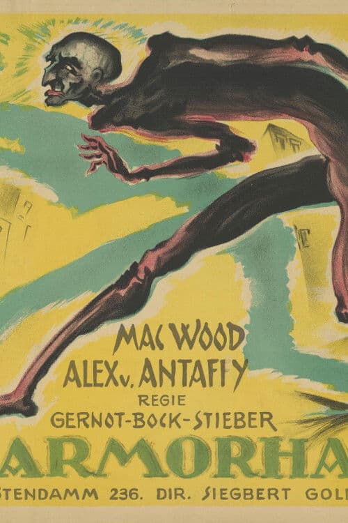 The invisible thief poster