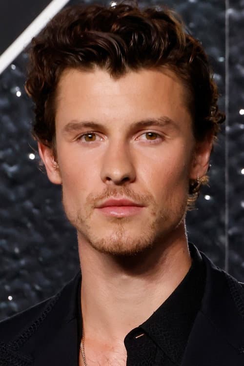 Shawn Mendes profile photo