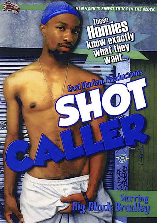 Shot Caller poster