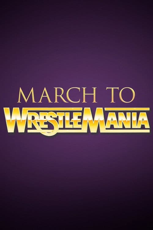 WWE March to WrestleMania X poster