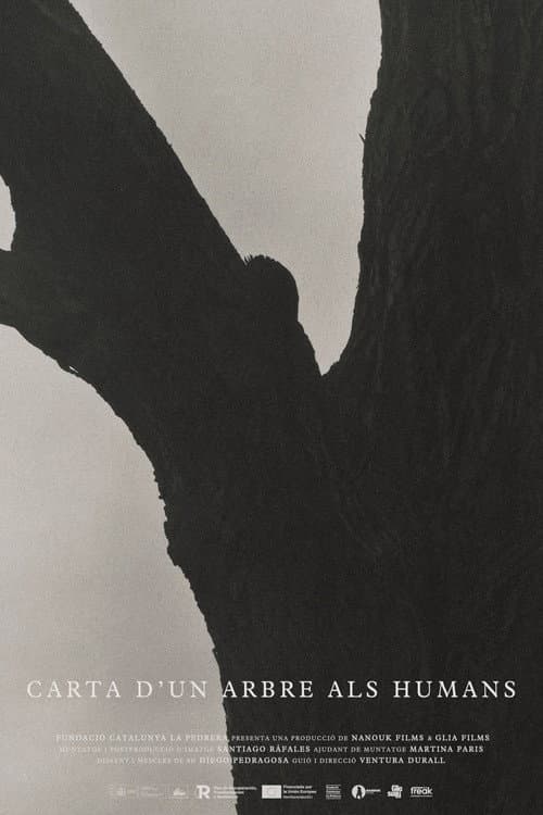 Carta d’un arbre als humans poster
