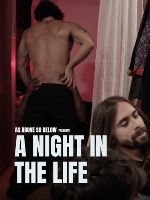 A Night in the Life poster