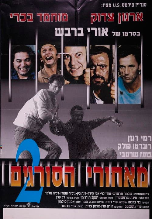 Beyond the Walls II poster