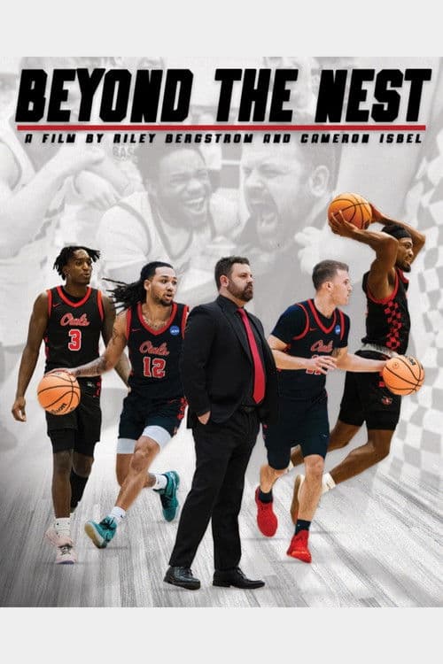 Beyond The Nest poster