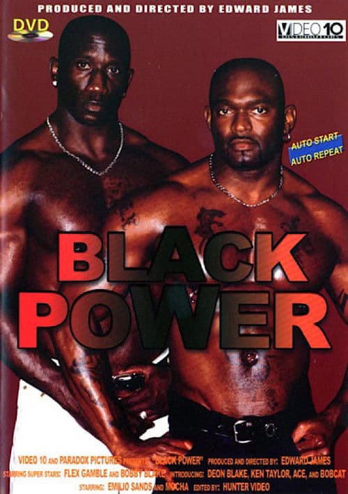 Black Power poster