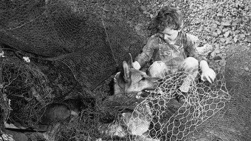 Rusty's Birthday poster