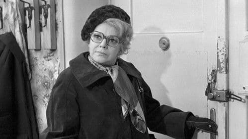 Namátková kontrola poster