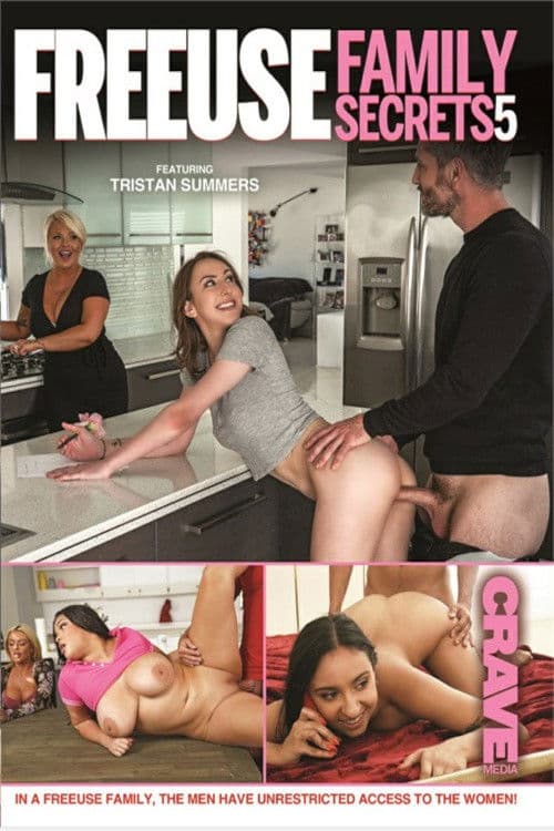 Free Use Family Secrets 5 poster