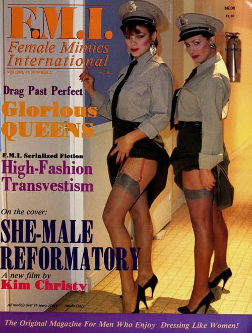 She-Male Encounters 13: She-Male Reformatory poster