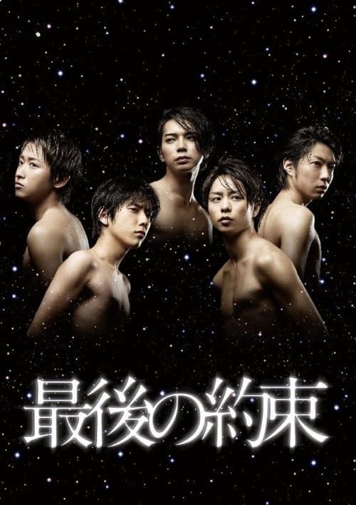 The Last Promise poster