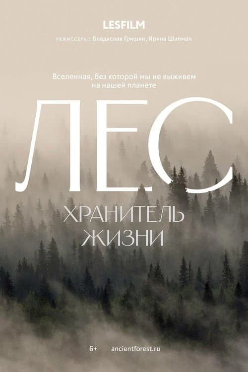 The Forest poster