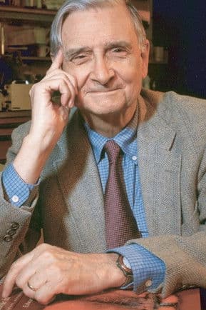 E.O. Wilson profile photo