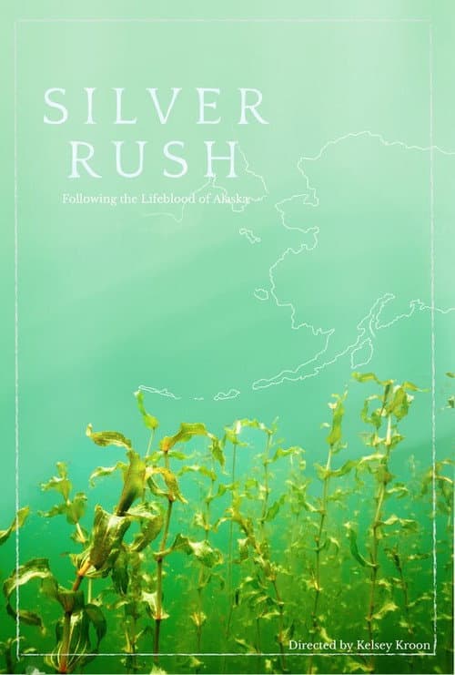 Silver Rush poster