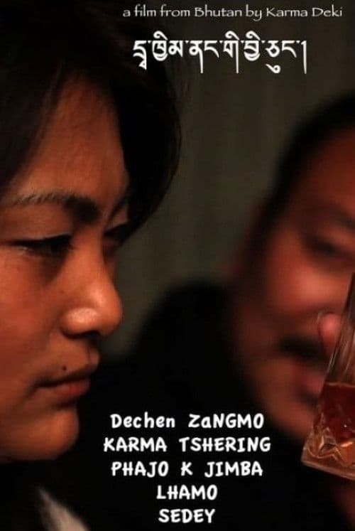 Birds in Cages poster