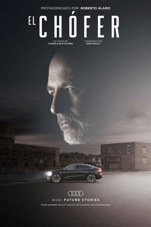 The Driver poster