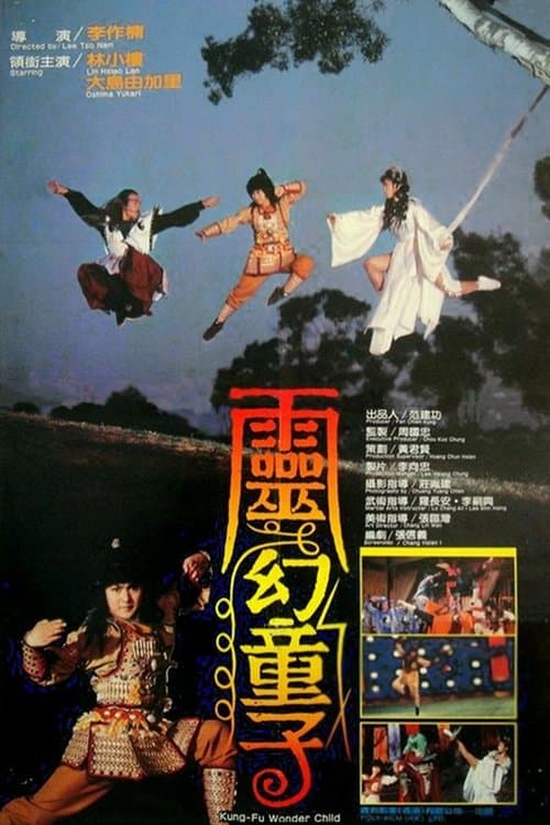 Kung Fu Wonder Child poster