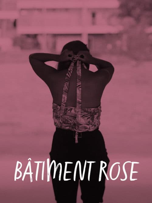 Bâtiment rose poster