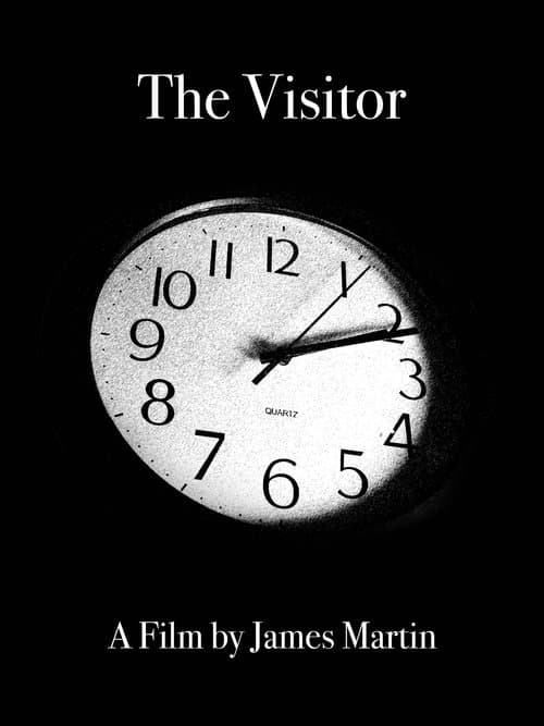 The Visitor poster
