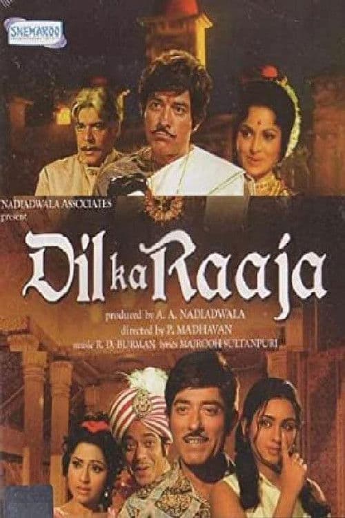 Dil Ka Raaja poster