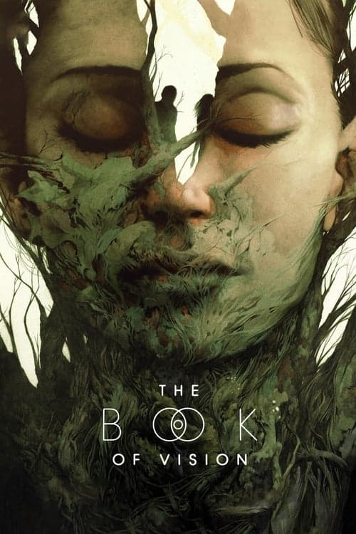 The Book Of Vision poster