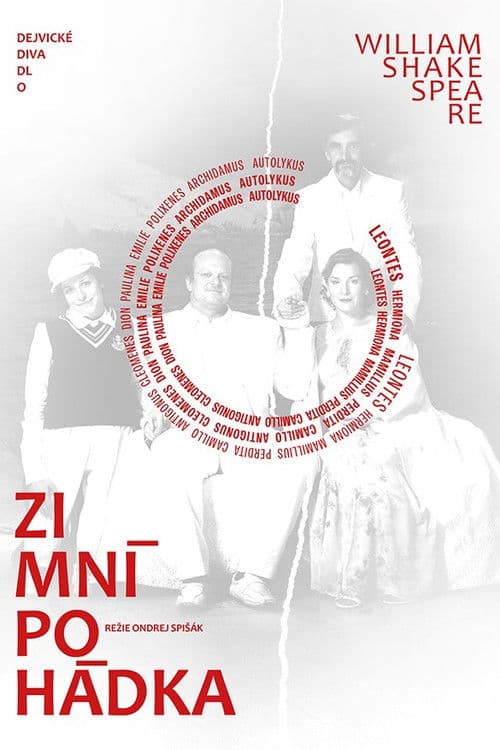 Zimní pohádka poster