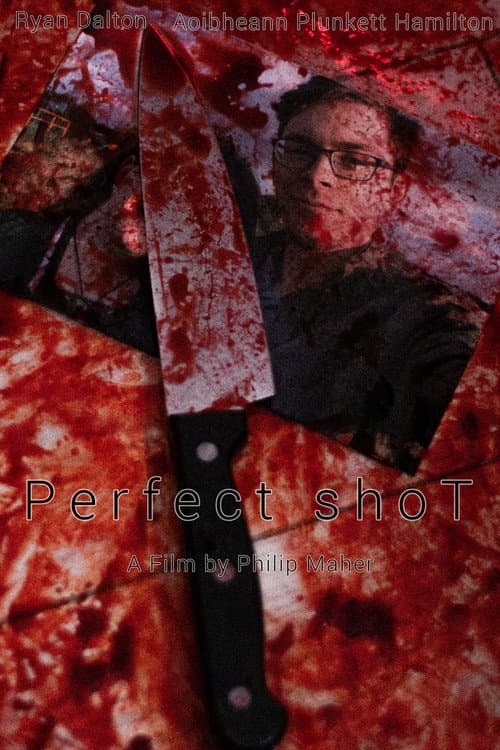 Perfect shoT poster