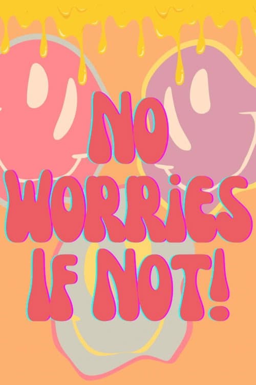 No Worries If Not! poster