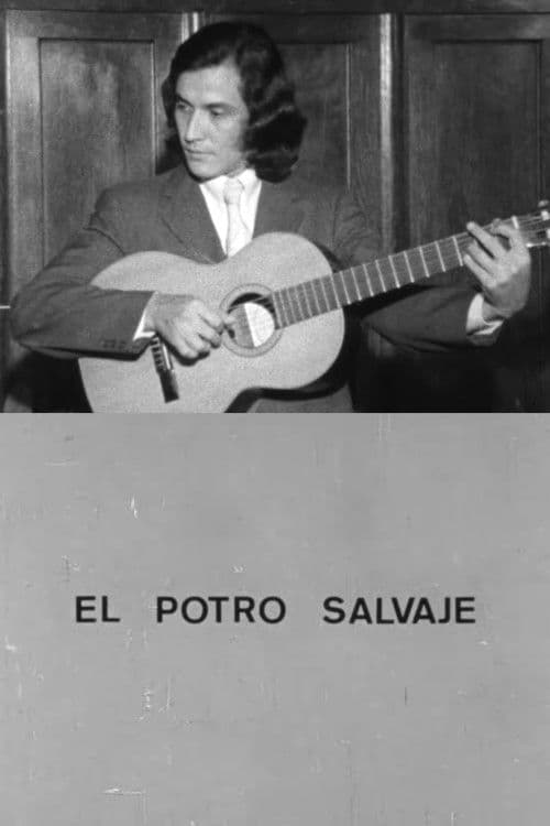 El potro salvaje poster