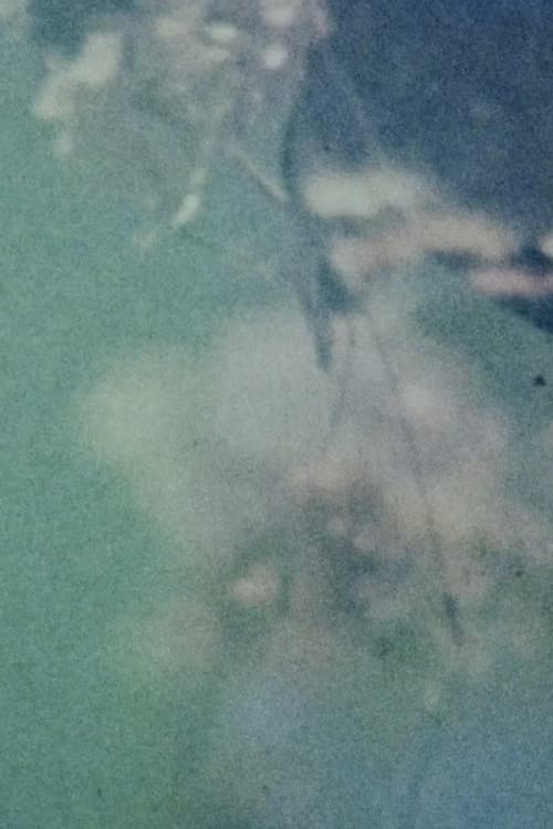 In the Broken Eye of the Butterfly poster