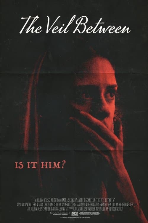 The Veil Between poster