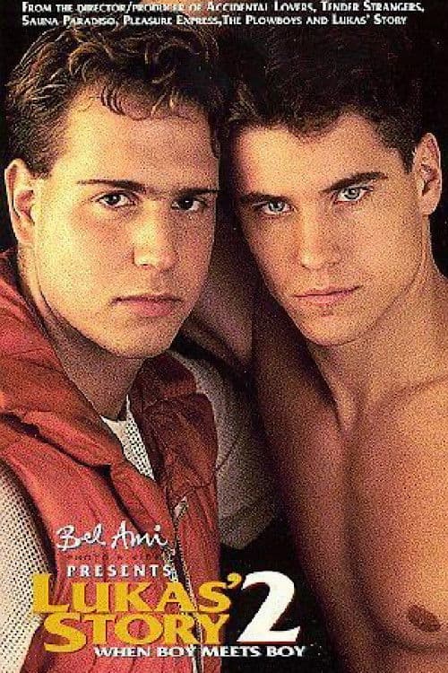 Lukas' Story 2: When Boy Meets Boy poster