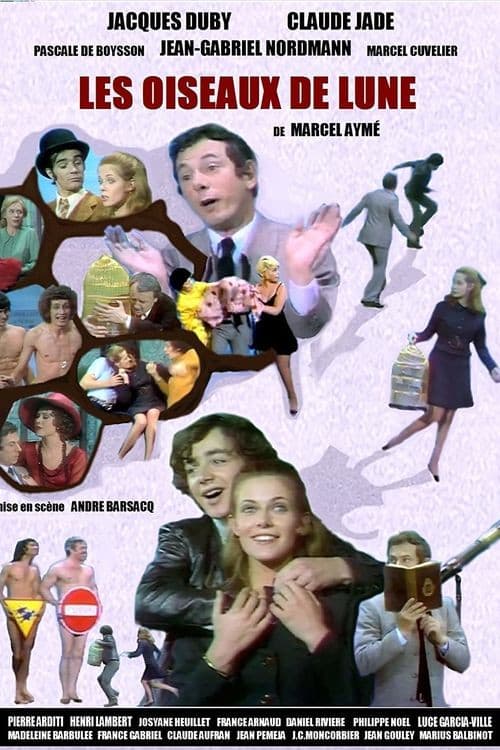 Les Oiseaux de la lune poster