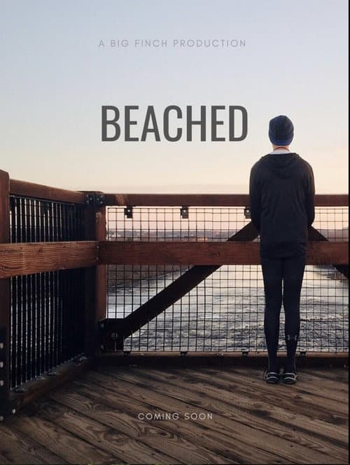 Beached poster