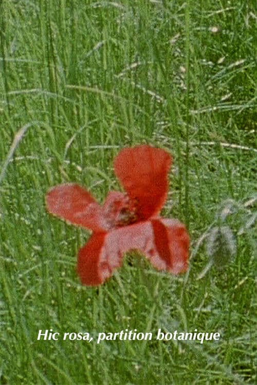 Hic Rosa, Botanical Score