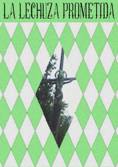 La Lechuza Prometida poster