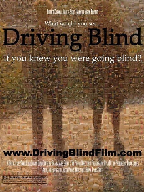 Driving Blind poster