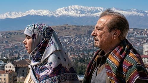 Rabbine Dön poster